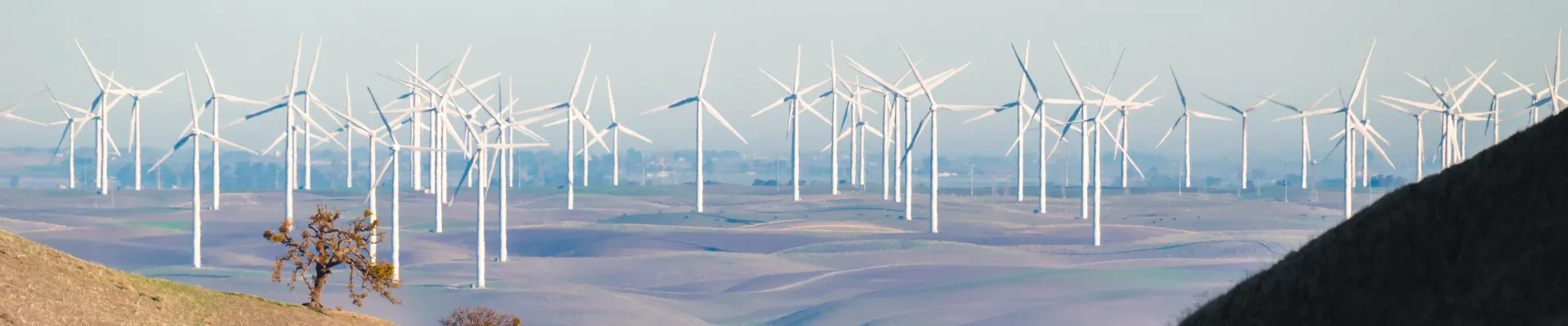 Power forecasts for wind and solar power plants