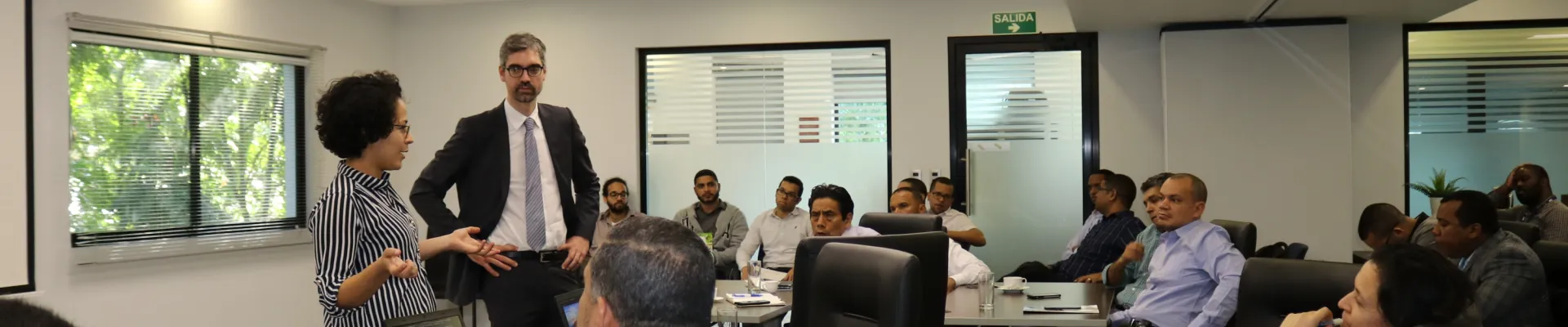 Consulting and training on grid integration and marketing of renewable energy